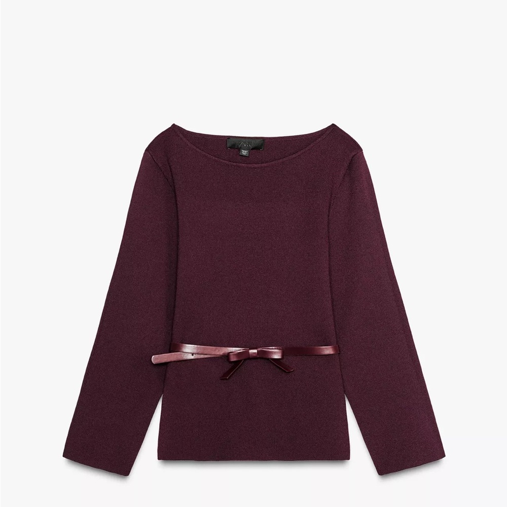 Zara Rich Burgundy Knit Top